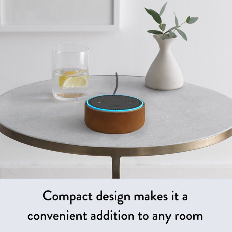 Smart Speaker Voice Assistant