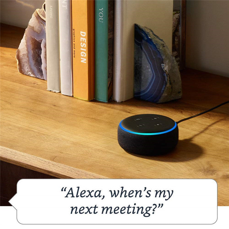 Smart Speaker Voice Assistant