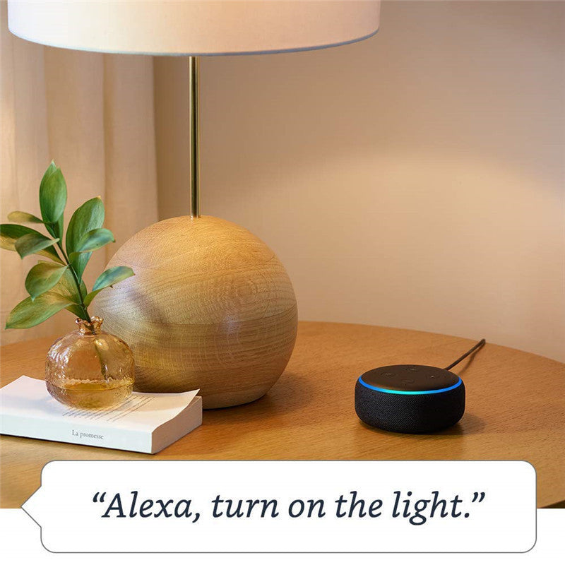 Smart Speaker Voice Assistant